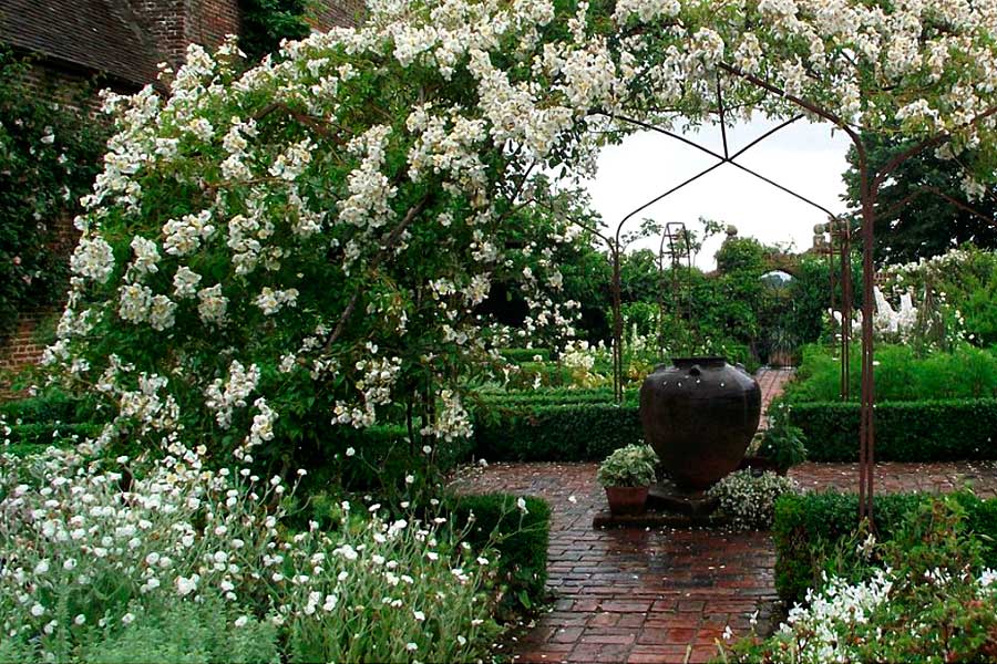 Примеры ландшафтного дизайна на даче, Белый сад - Мир Садоводства
