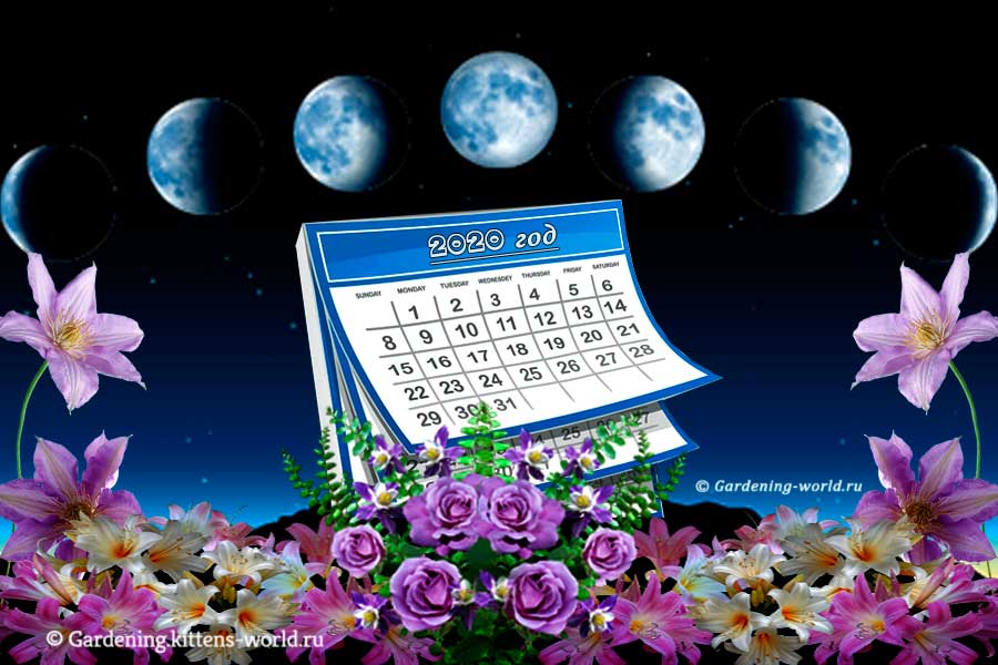 Лунный календарь на 2020 год для садовода и огородника