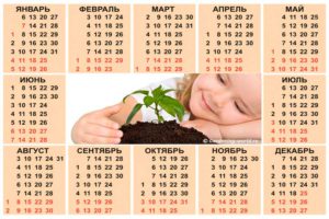 Календарь посадок на любой год для Ленинградской области, таблица