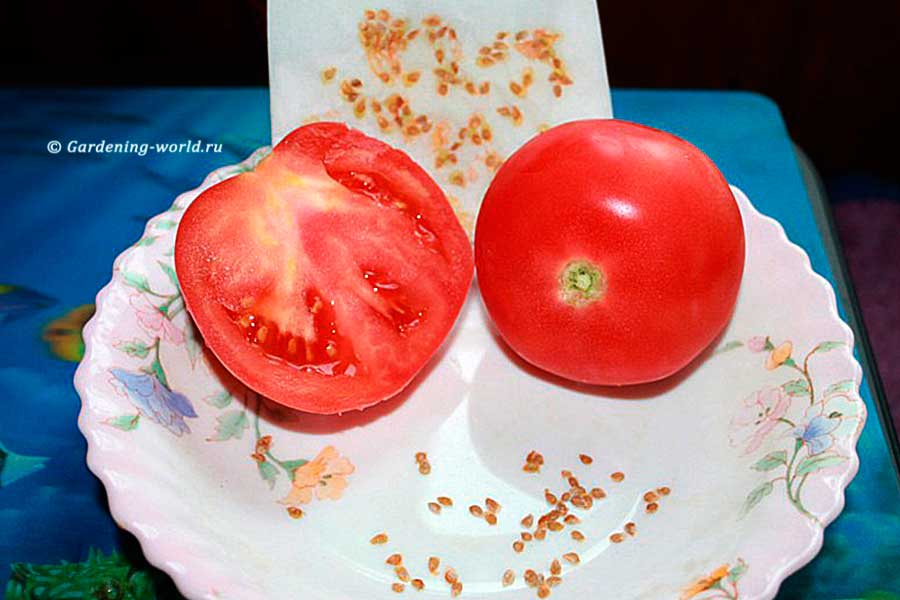 Как заготовить и сохранить семена собственных томатов