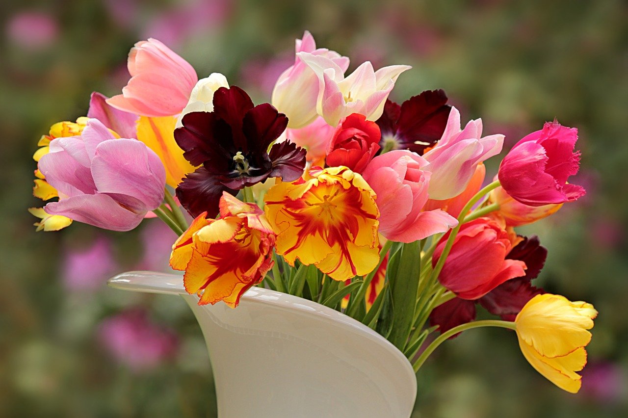 Как сохранить срезанные цветы и продлить им жизнь в вазе