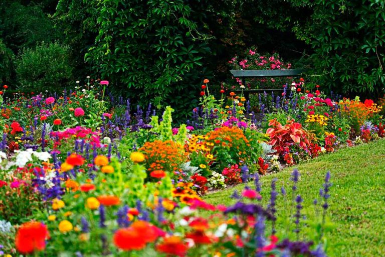 Как красиво сажать цветы в огороде фото и название
