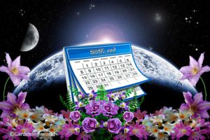 Лунный календарь на 2021 год для садовода и огородника