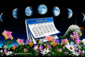 Лунный календарь на 2022 год для садовода и огородника
