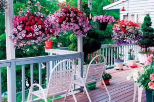 Какие цветы посадить на балконе: 3 варианта с простым уходом