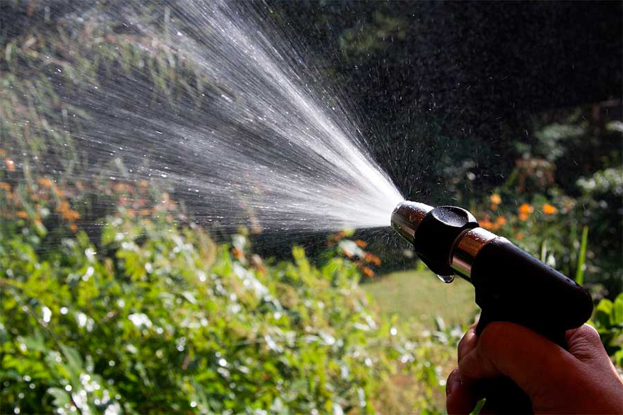 Как поливать в жару и чем подкормить растения
