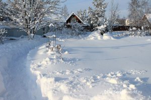 Сад в снегу — польза и вред для растений